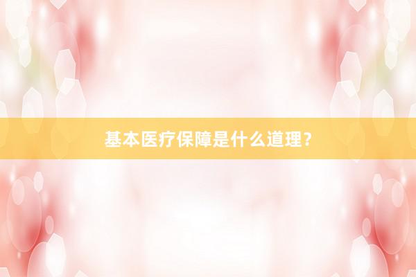 基本医疗保障是什么道理？