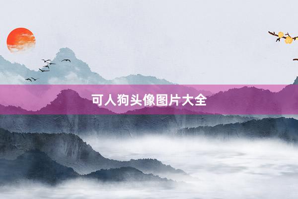 可人狗头像图片大全