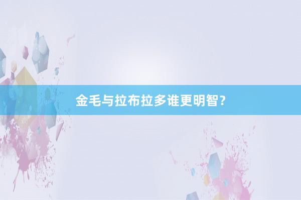 金毛与拉布拉多谁更明智?