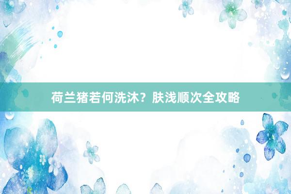 荷兰猪若何洗沐？肤浅顺次全攻略